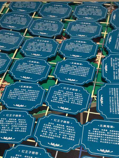 树名牌